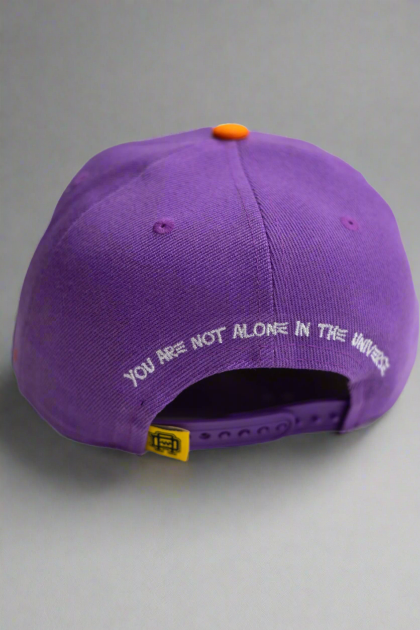 Artist Snapback (Suns) Colorway
