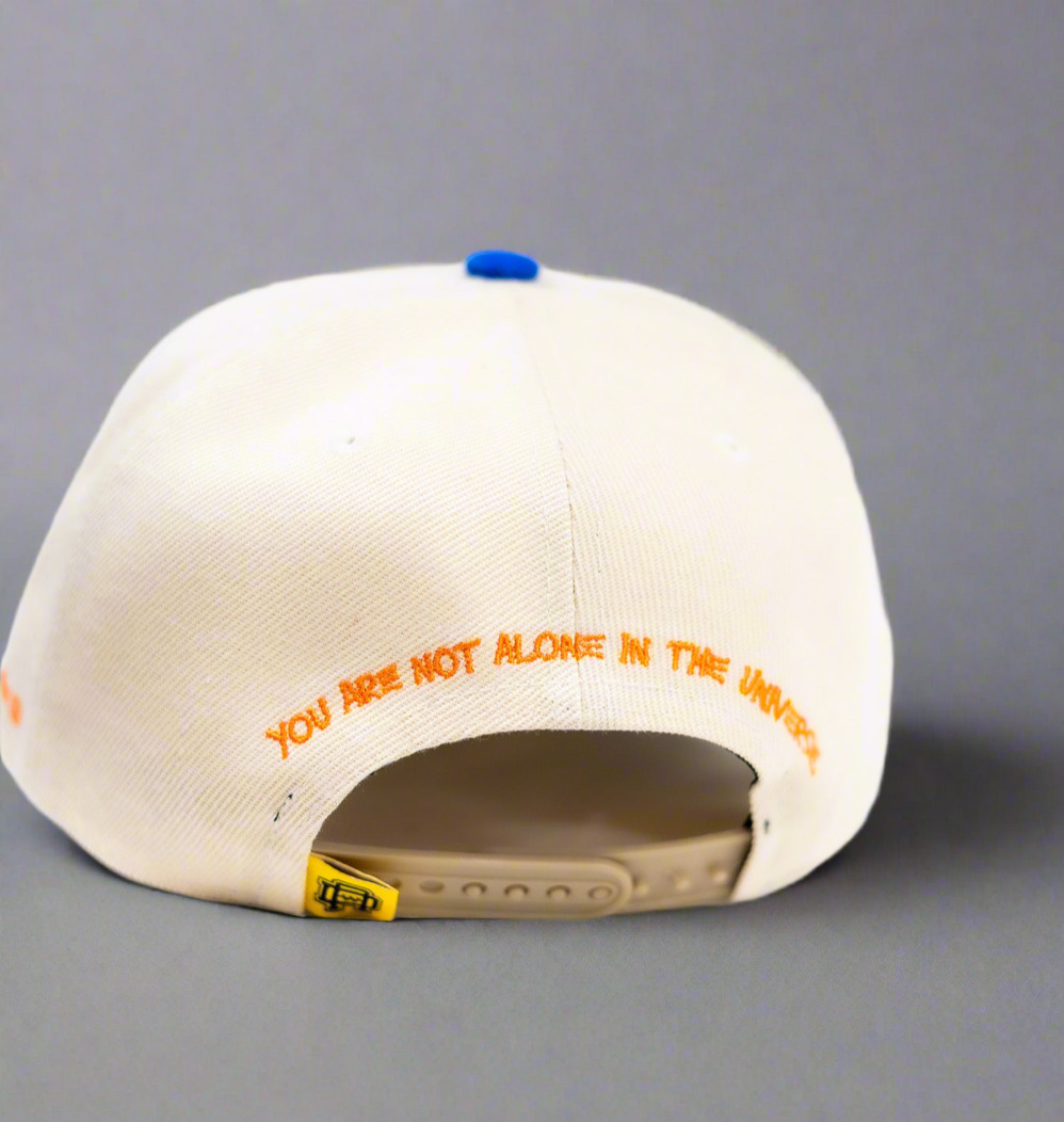 Artist Snapback (Knicks) Colorway